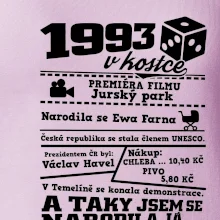 1993 v kostce