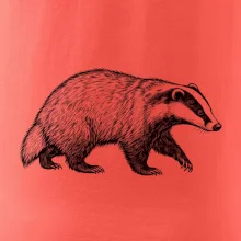 Zvířata Krkonoš – jezevec lesní