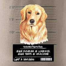 Lump a darebák zlatý retrívr