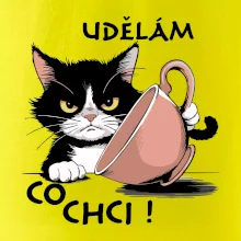 Kočka - udělám co chci