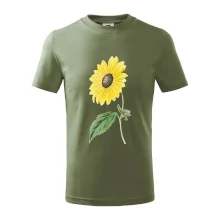 Slunečnice otočená