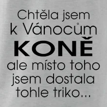 Chtěla jsem k Vánocům koně