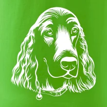 Kokršpaněl - hlava kreslená