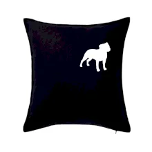 Americký stafordširský teriér  Na prsu