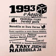 1993 v kostce