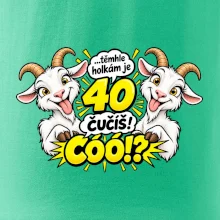 Těmhle holkám je 40, čučíš co?