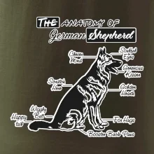 Německý ovčák - Anatomie