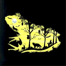 Froggy Night Froggy Night