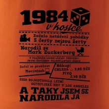1984 v kostce