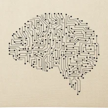 Tištěný spoj mozek