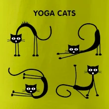 Kočičí jóga (Hana-creative)