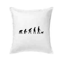 Lagotto romagnolo Evoluce muž / žena