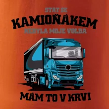 Stát se kamioňákem nebyla moje volba