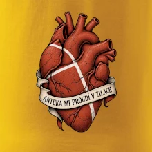 Nohejbal antuka v žilách