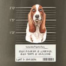 Baset - lump a darebák