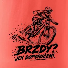Brzdy jen doporučení - biker v zatáčce