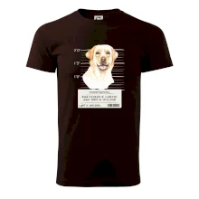 Lump a darebák labrador