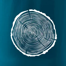 Letokruhy 40 bez věku