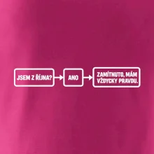 Jsem z října mám vždycky pravdu diagram