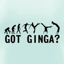 Capoeira - Got Ginga