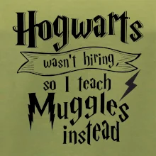 Harry - Hogwarts wasn’t hiring, so I teach Muggles instead