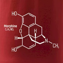 Molekulární struktura Morfin