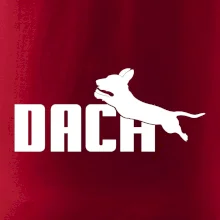 Jezevčík Dach
