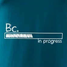 In progress  titul Bc. bakalář / bakalářka