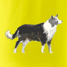 Border kolie kreslená