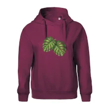 Monstera - dva listy Monstera - dva listy