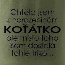 Chtěla jsem dostat k narozeninám koťátko