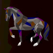 Kůň geometrie barevný