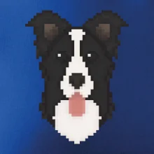 Border kolie Pixel