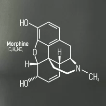 Molekulární struktura Morfin