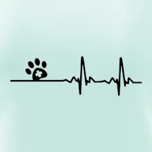 Veterinář EKG