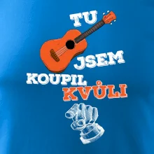 Tu kytaru jsem koupil kvůli tobě