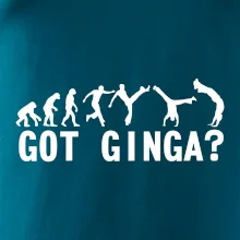 Capoeira - Got Ginga