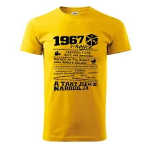 1967 v kostce