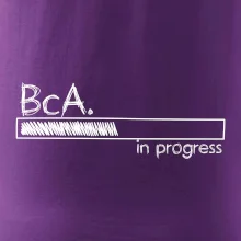 In progress  titul BcA. bakalář / bakalářka umění