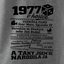 1977 v kostce