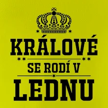 Králové se rodí v lednu