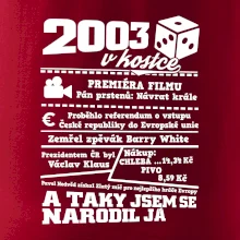 2003 v kostce