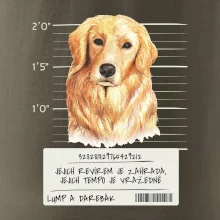 Lump a darebák zlatý retrívr