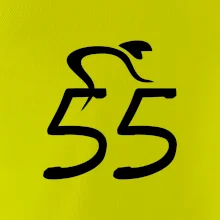 Cyklista slaví pětapadesátku (55)