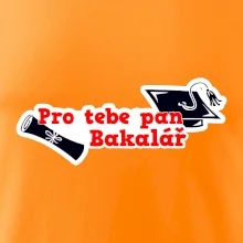 Pro tebe pan Bakalář