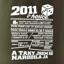 2011 v kostce