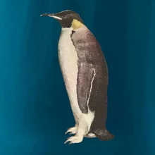 Tučňák kreslený vodovými barvami