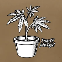 Konopi prostě pěstuju