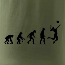 Evoluce volejbal culík
