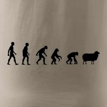Evoluce ovce